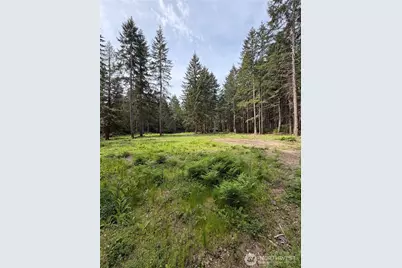 19205 30th Street SW, Longbranch, WA 98349 - Photo 10