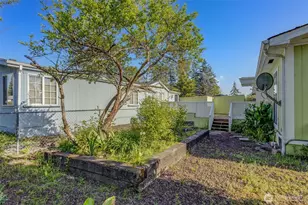 803 E 82nd Street Ct, Tacoma, WA 98404 - Photo 16