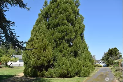 432 W Anderson Road, Sequim, WA 98382 - Photo 36