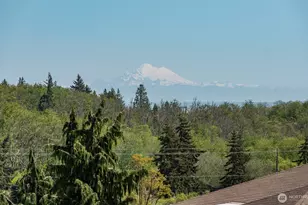 131 Moonlight Dr, Sequim, WA 98382 - Photo 8