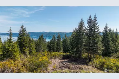 778899 N Hamma Ridge Drive, Lilliwaup, WA 98555 - Photo 2
