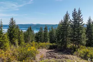 778899 N Hamma Ridge Dr, Lilliwaup, WA 98555 - Photo 2