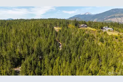 778899 N Hamma Ridge Drive, Lilliwaup, WA 98555 - Photo 12
