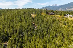 778899 N Hamma Ridge Dr, Lilliwaup, WA 98555 - Photo 12
