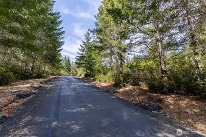 778899 N Hamma Ridge Drive, Lilliwaup, WA 98555 - Photo 6
