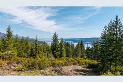 778899 N Hamma Ridge Drive, Lilliwaup, WA 98555 - Photo 1