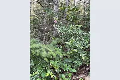 778899 N Hamma Ridge Drive, Lilliwaup, WA 98555 - Photo 10