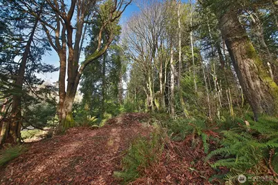 0 Xxx Cultus Bay Road, Clinton, WA 98236 - Photo 6