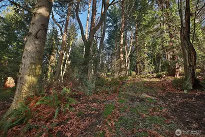 0 Xxx Cultus Bay Road, Clinton, WA 98236 - Photo 8