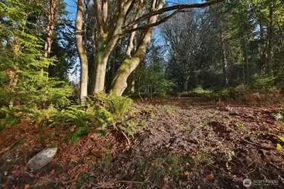 0 Xxx Cultus Bay Road, Clinton, WA 98236 - Photo 12