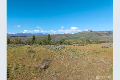 265 East Chewuch Road, Winthrop, WA 98862 - Photo 8