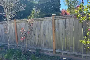 504 10th Ave, Milton, WA 98354 - Photo 16