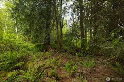 [Address not provided], Arlington, WA 98223 - Photo 6
