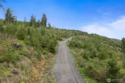 1785 Big Hanaford Road, Centralia, WA 98531 - Photo 12