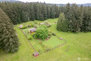 12915 412 St E, Eatonville, WA 98328 - Photo 38