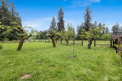 12915 412th St E, Eatonville, WA 98328 - Photo 32