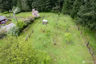 12915 412 St E, Eatonville, WA 98328 - Photo 34