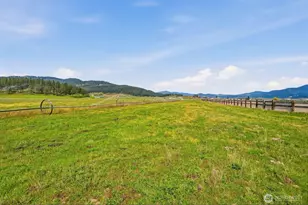 2536 Heine Rd, Chewelah, WA 99109 - Photo 12