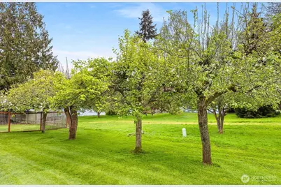 5333 Bercot Road, Freeland, WA 98249 - Photo 36