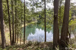 22221 N Clear Lake Blvd SE, Yelm, WA 98597 - Photo 14