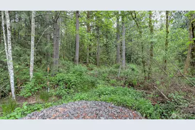 0 SE 311th Court, Covington, WA 98042 - Photo 4