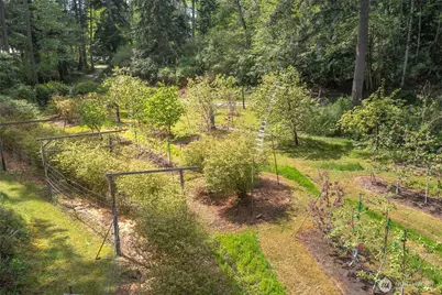 138 Milky Way, Orcas Island, WA 98245 - Photo 32