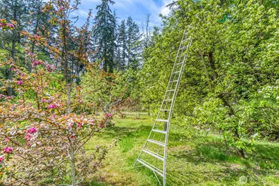 138 Milky Way, Orcas Island, WA 98245 - Photo 24