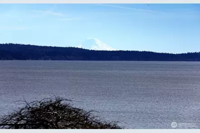 2693 North Bluff Road, Greenbank, WA 98253 - Photo 6