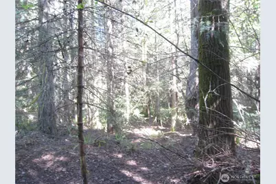 146 Humble Hill Road, Sequim, WA 98382 - Photo 8