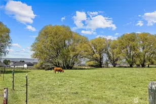 2661 Reecer Creek Rd, Ellensburg, WA 98926 - Photo 24