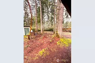 61 NE Madrona Court, Tahuya, WA 98588 - Photo 12