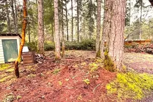 61 NE Madrona Ct, Tahuya, WA 98588 - Photo 12