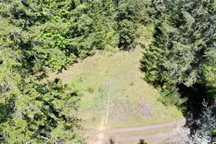 231 E Strong Rd, Shelton, WA 98584 - Photo 12