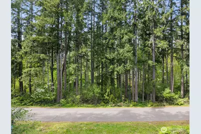 18336 E Clear Lake Blvd SE, Yelm, WA 98597 - Photo 4