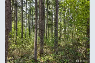 18336 E Clear Lake Blvd SE, Yelm, WA 98597 - Photo 6