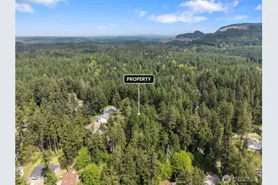 18336 E Clear Lake Blvd SE, Yelm, WA 98597 - Photo 10
