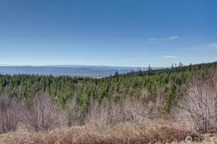 130 Upland Dr, Woodland, WA 98674 - Photo 40