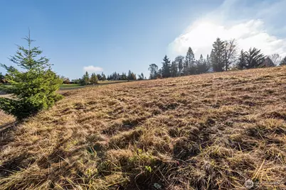 9999 Doe Run Road #Lot 4, Sequim, WA 98382 - Photo 32