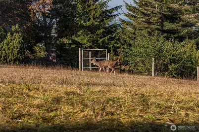 9999 Doe Run Road #Lot 4, Sequim, WA 98382 - Photo 30