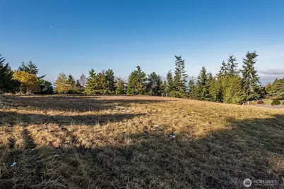 9999 Doe Run Road #Lot 4, Sequim, WA 98382 - Photo 26