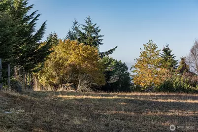 9999 Doe Run Road #Lot 4, Sequim, WA 98382 - Photo 28