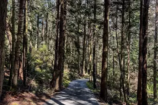 585 Deer Point Rd, Orcas Island, WA 98279 - Photo 24