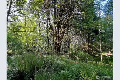 5710 Oyster Bay Road NW, Olympia, WA 98502 - Photo 8