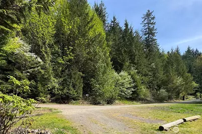 834 Little River, Port Angeles, WA 98363 - Photo 38