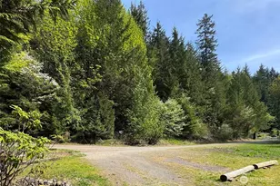 834 Little River, Port Angeles, WA 98363 - Photo 38