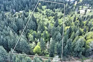 19381 E State Hwy 3, Allyn, WA 98524 - Photo 1