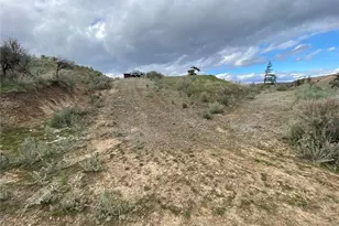 0 Tyee View Loop, Waterville, WA 98858 - Photo 10