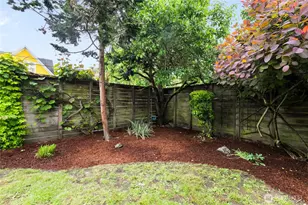 2202 E John St, Seattle, WA 98112 - Photo 28