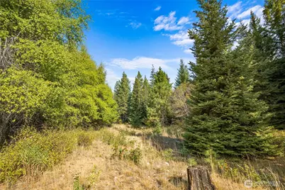 3241 Jenkins Drive, Cle Elum, WA 98922 - Photo 8