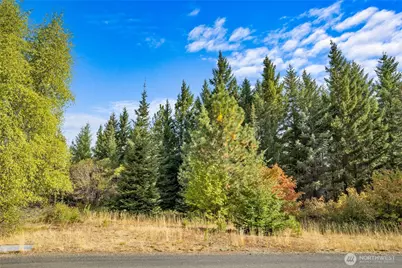 321 Goat Creek Lane, Cle Elum, WA 98922 - Photo 6